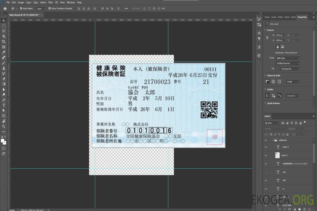 Carte d'assurance maladie japonaise template